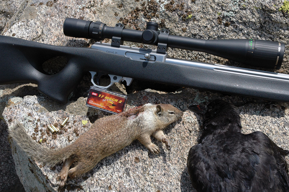 A rifle in 17 Mach 2 is an excellent choice for use on small targets such as ground squirrels and crows.